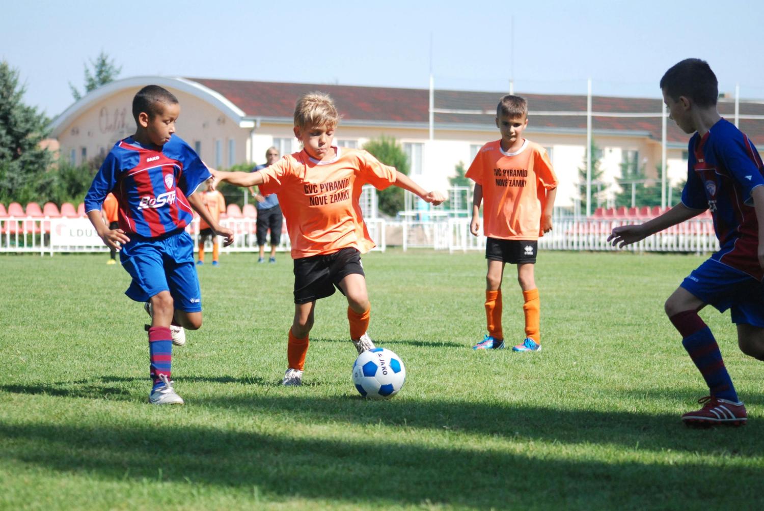 Small Group Training 4 session Package